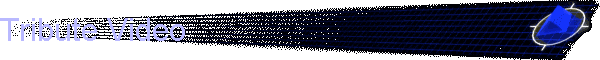 Tribute Video
